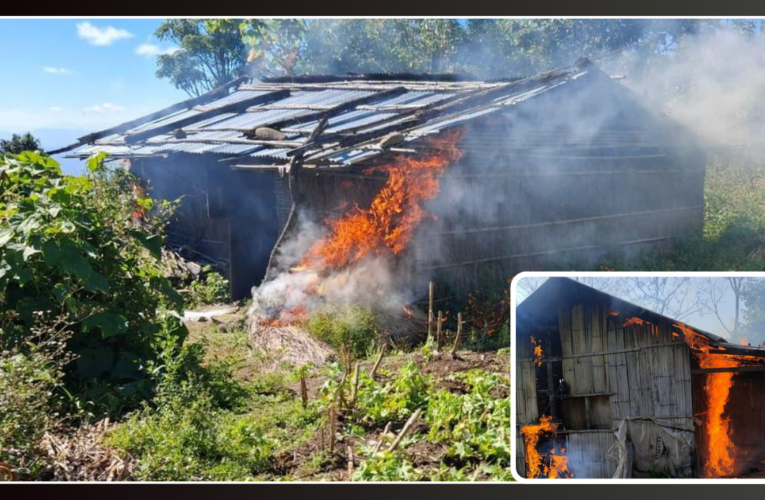 Manipur Intensifies Anti-Drug Drive, 113 Acres of Poppy Crops Destroyed