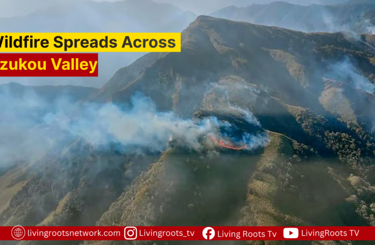 Wildfire Spreads Across Dzukou Valley; Rescue Teams Deployed,  Trails Closed