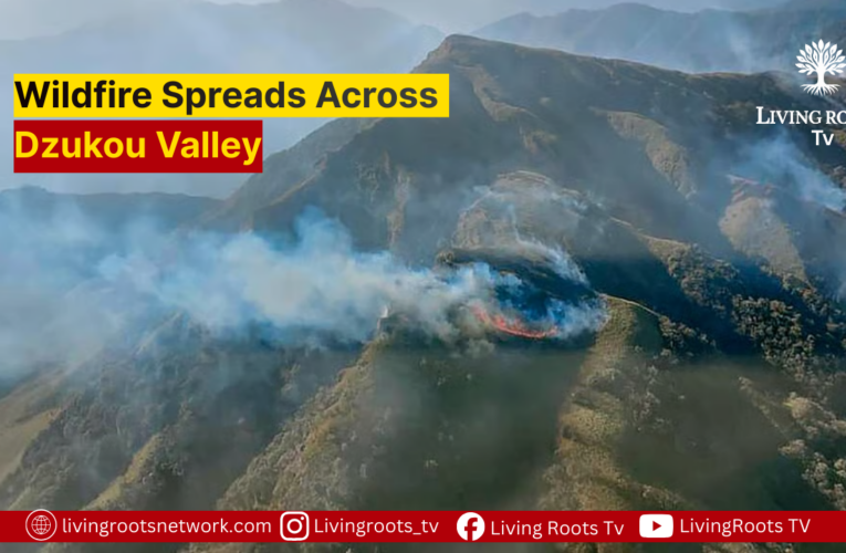 Wildfire Spreads Across Dzukou Valley; Rescue Teams Deployed, Trails Closed