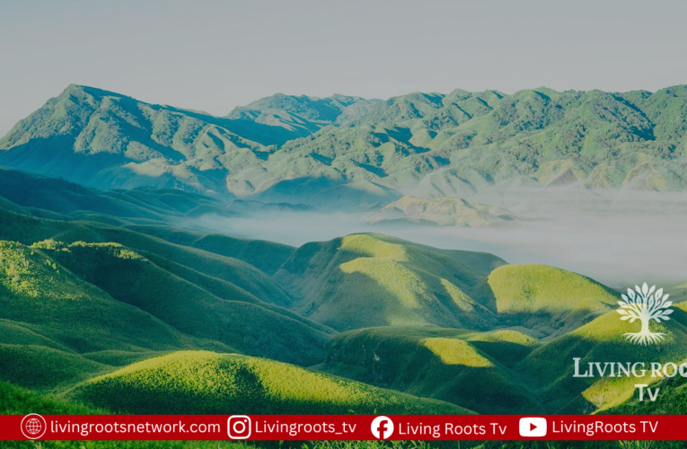 Nagaland: Dzukou Valley Reopens for Trekkers After Wildfire