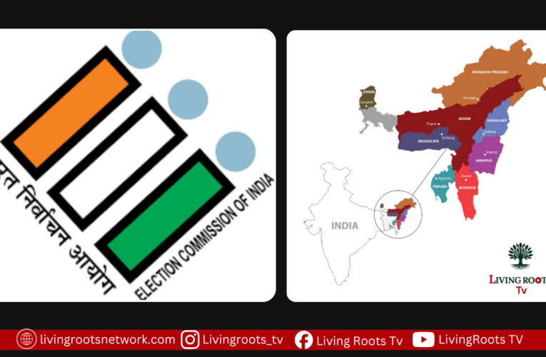 ECI to Update Voter Rolls in Northeast States from April